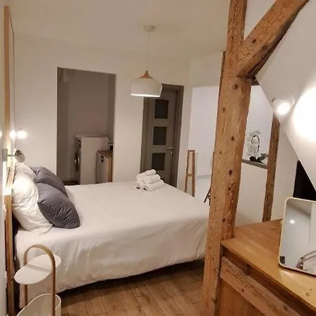 Apartman Les Logis De Bartholdi