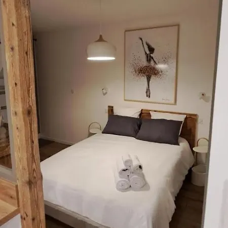 Les Logis De Bartholdi Appartement Colmar